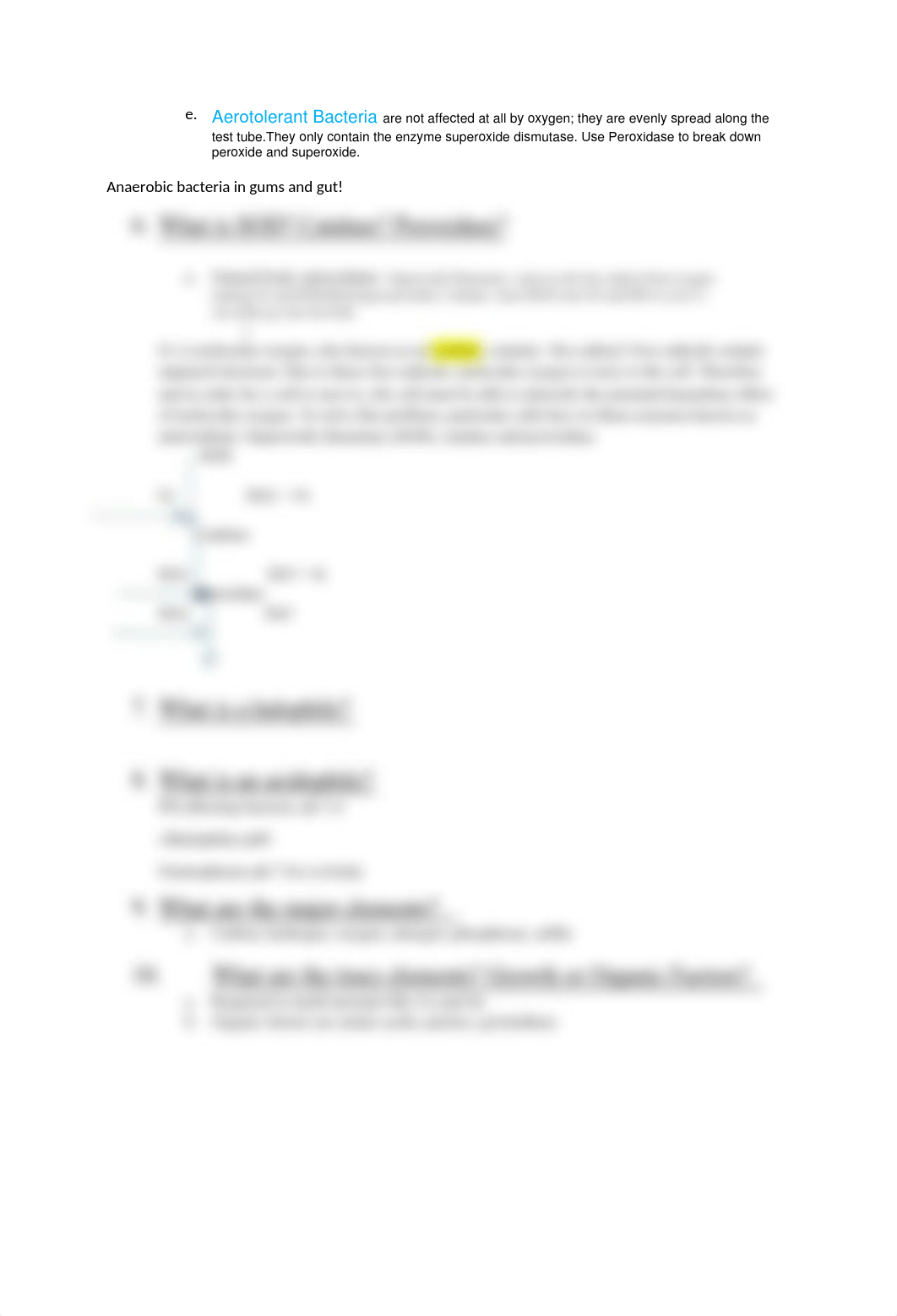 STUDY GUIDE TEST 2.docx_dppgbja8jrm_page2