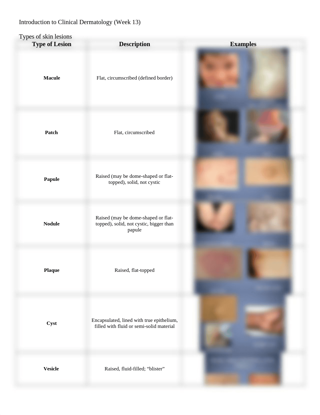 Introduction to Clinical Dermatology.docx_dppgcthp7fo_page1