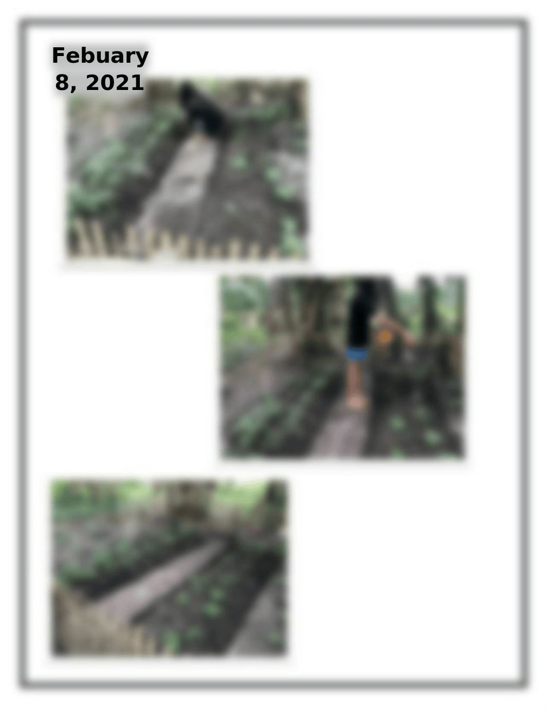 Narrative report - Gardening.docx_dppgipt46b2_page3