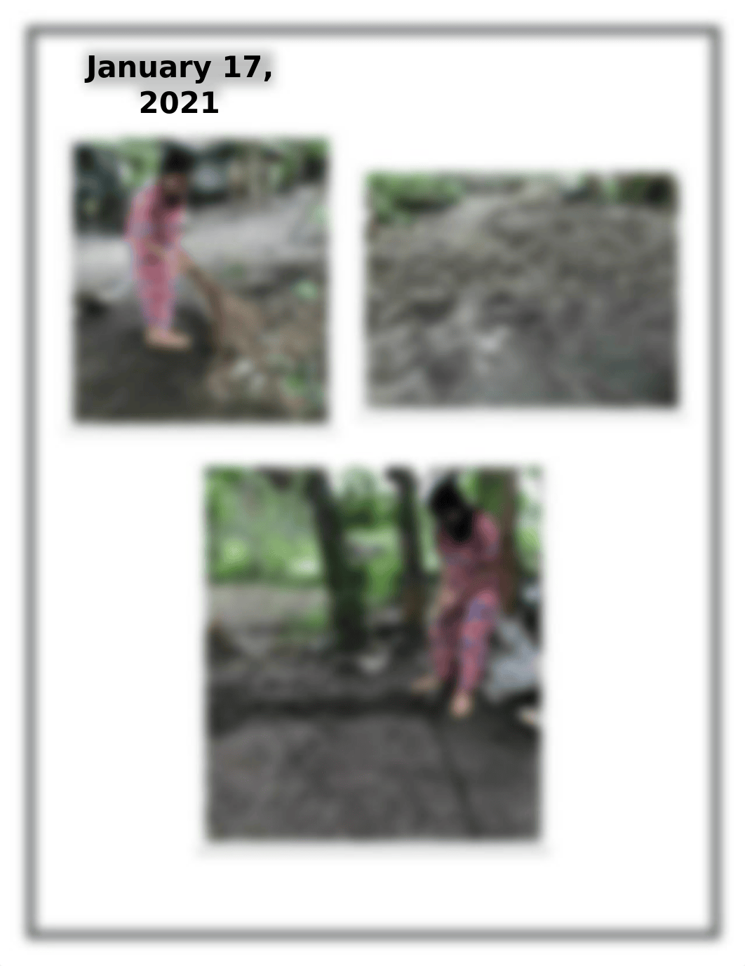 Narrative report - Gardening.docx_dppgipt46b2_page1