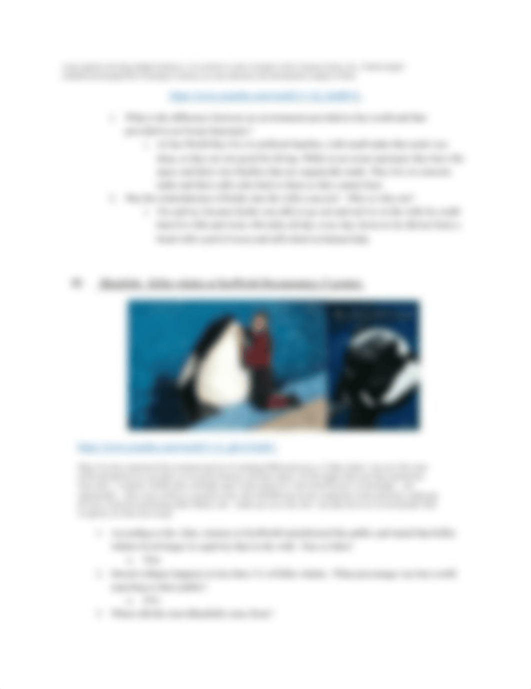 Completed. Case Studies - Orca (1) (1).pdf_dppi0e98weu_page2