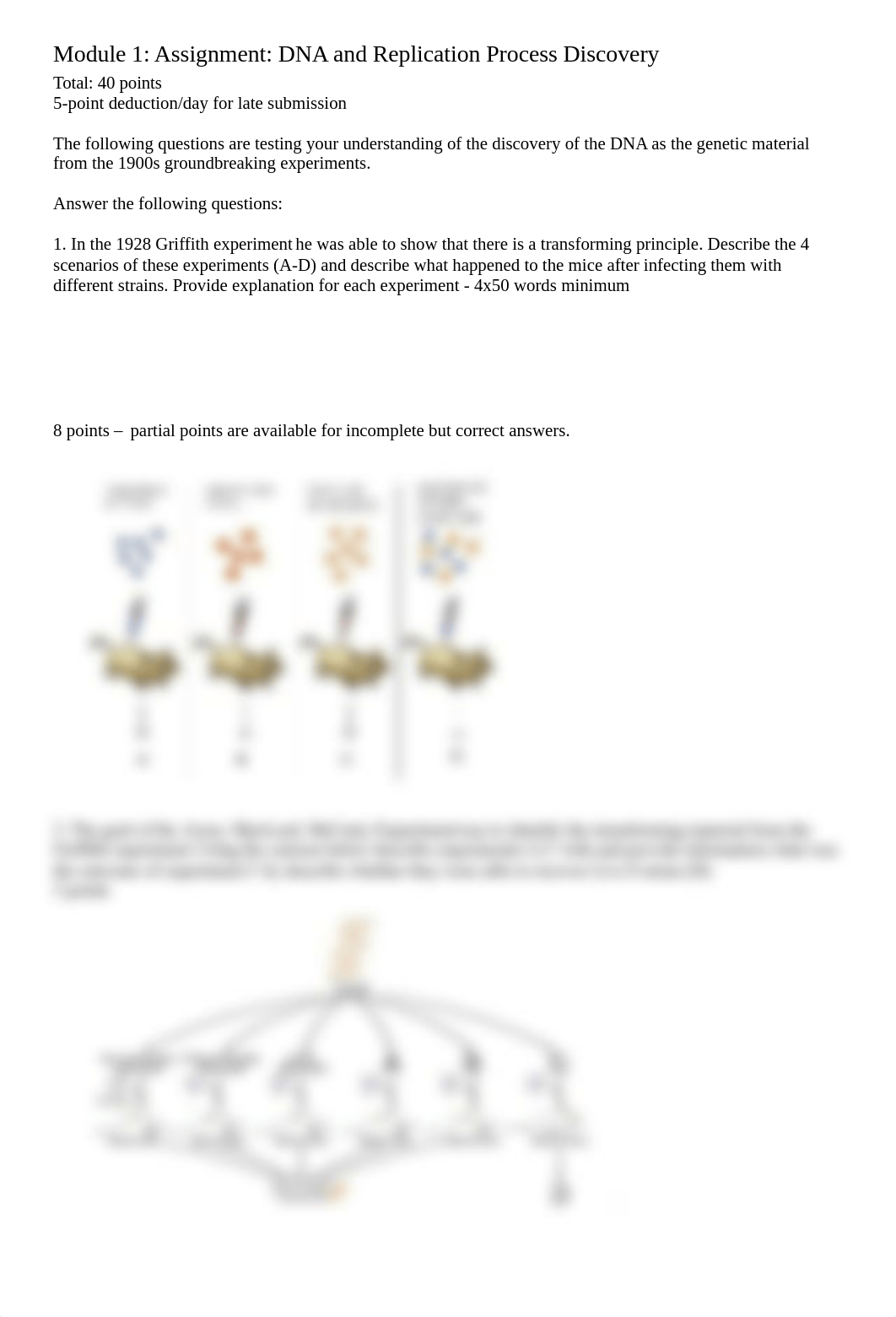 Module 1- Assignment- DNA and Replication Process Discovery (1).docx_dppows667iy_page1