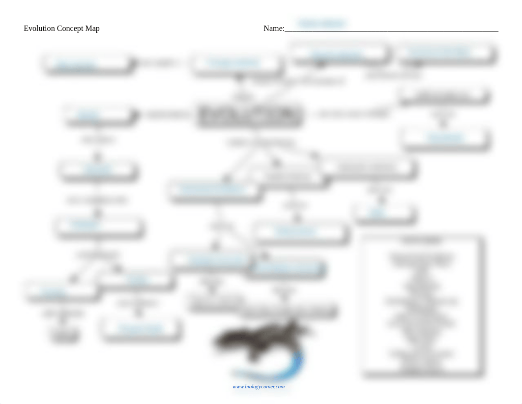 Evolution Concept Map.pdf_dppw0fkmk2t_page1