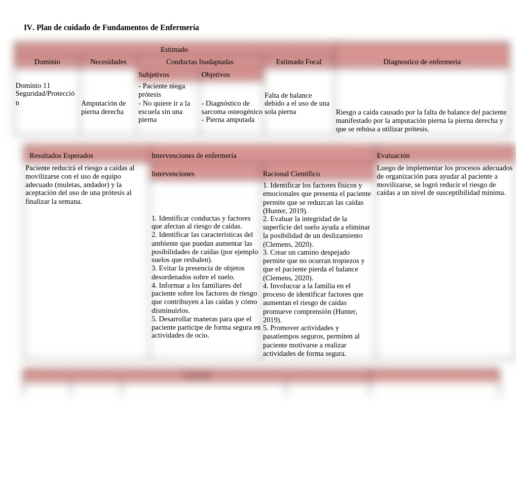 Plan de Cuidados.docx_dpq0p7udu3v_page1