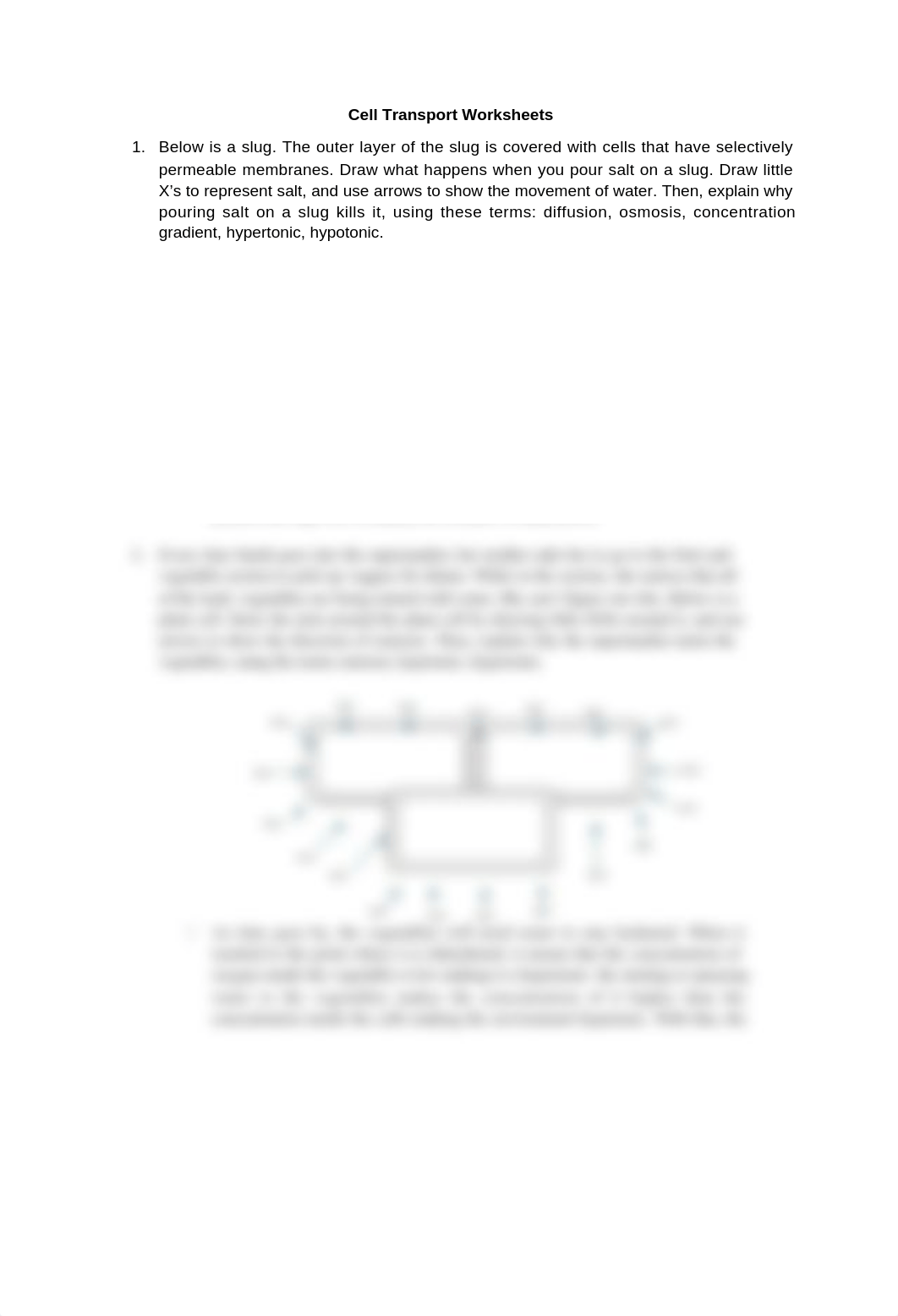 cell transport worksheet.docx_dpq1aojsfiv_page1