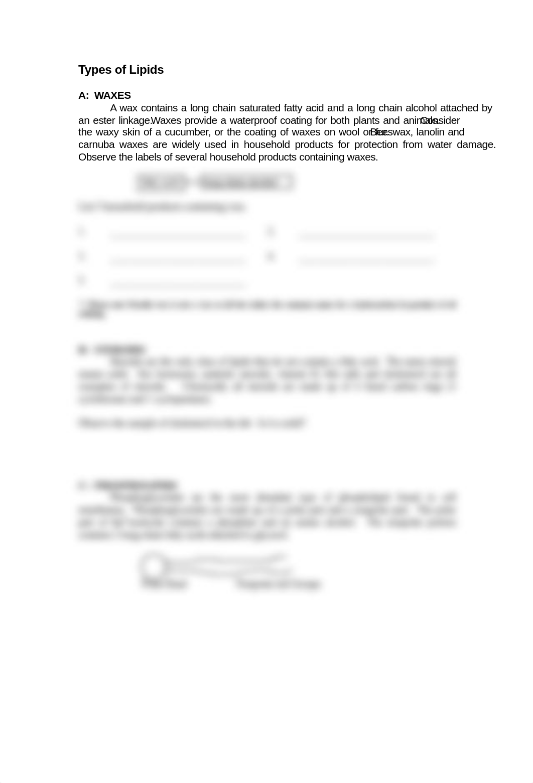 Lab 10 Lipids.pdf_dpq33z8ajs1_page2