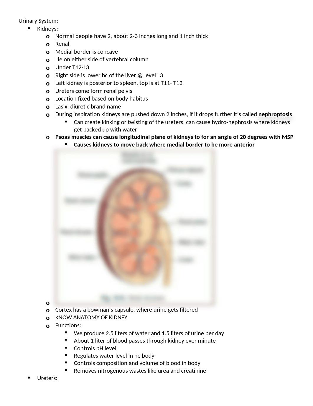 Urinary System.docx_dpq55zz3g64_page1