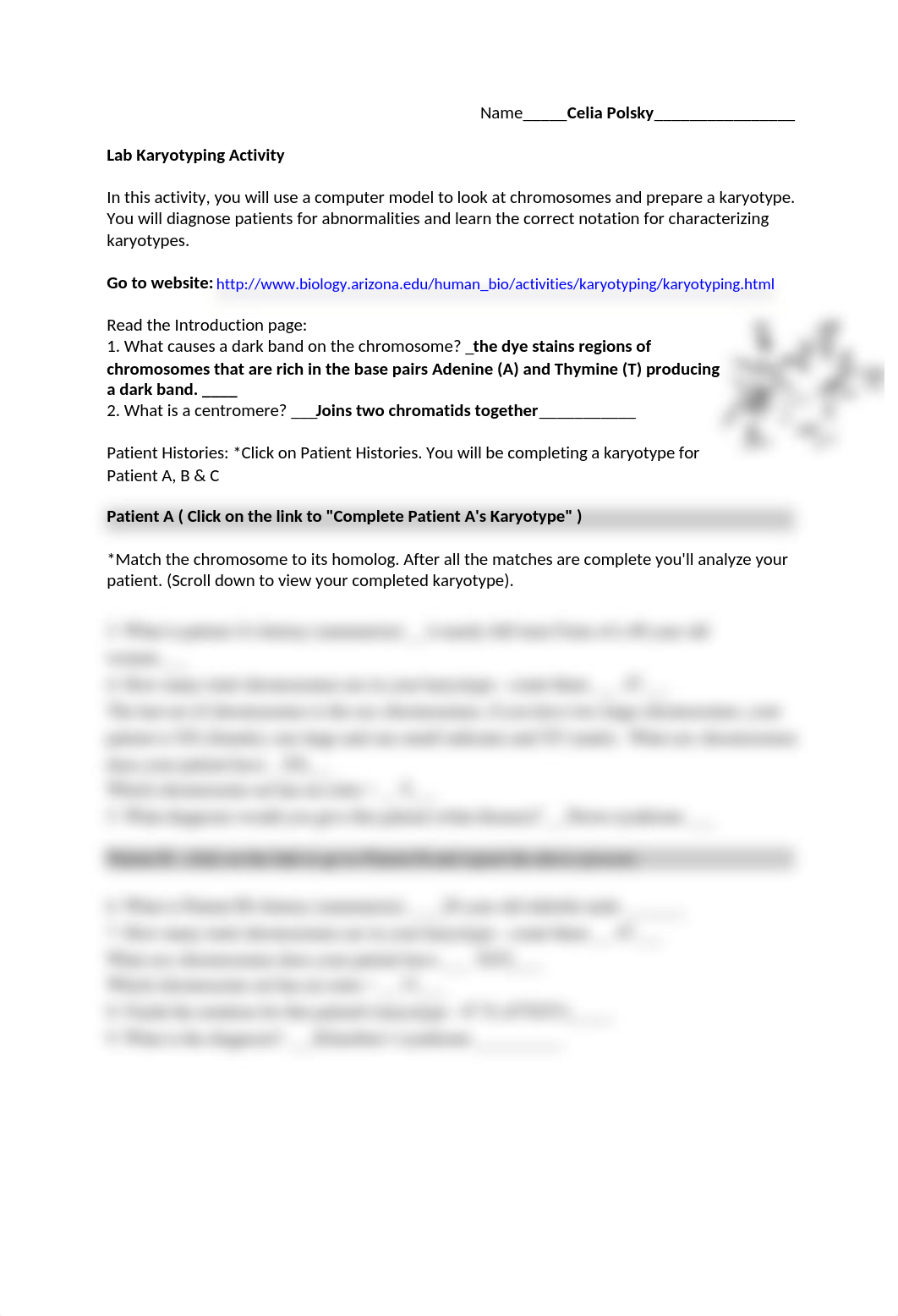 Genetics Karyotyping activity.docx_dpq6kmzoc8y_page1