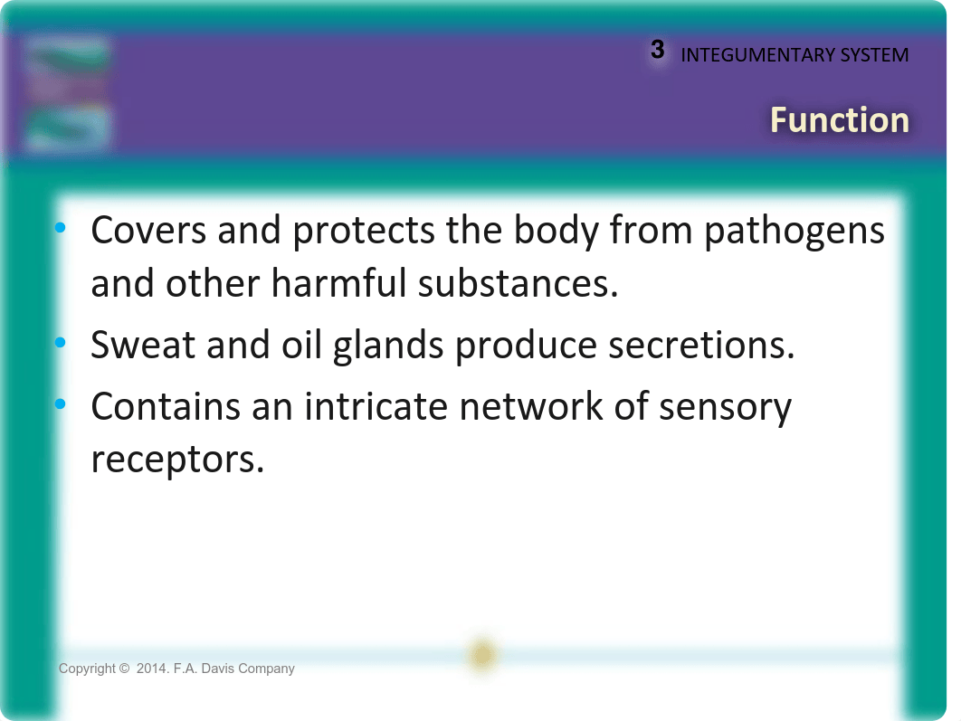 Ch 3 Lecture_dpqdm9axij6_page4