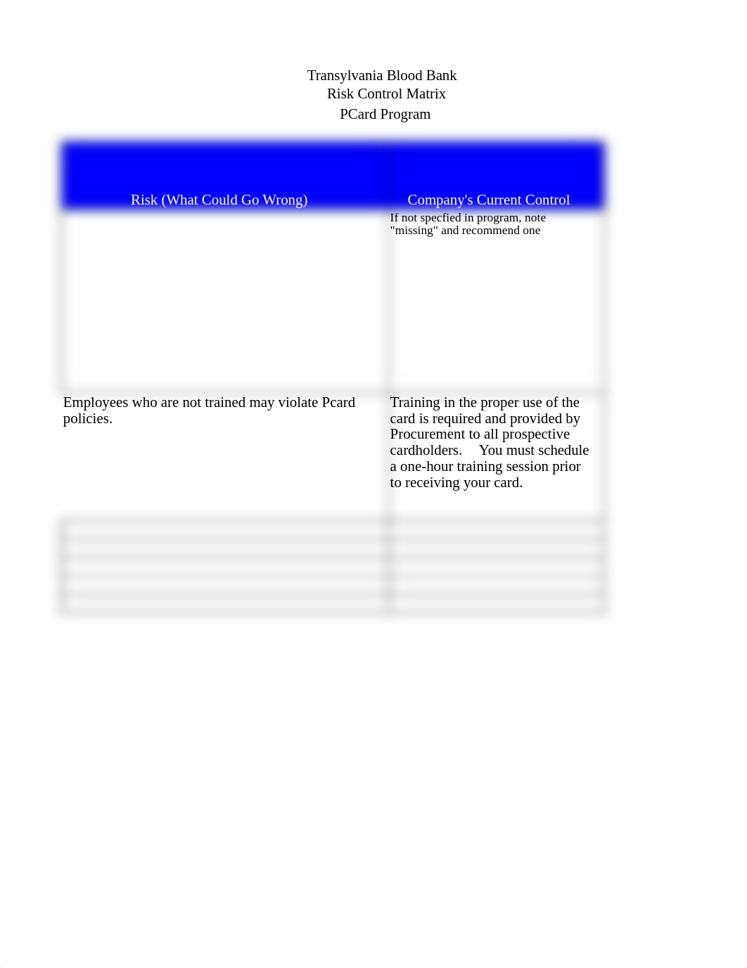 TBB Risk Control Matrix.xlsx_dpqk8xpvqrd_page1