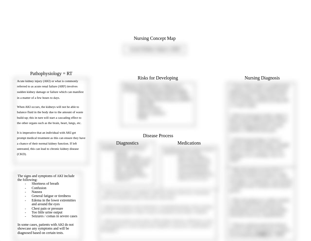 UNRS 212 - Acute Kidney Injury Concept Map.docx_dpqnvte42b2_page1