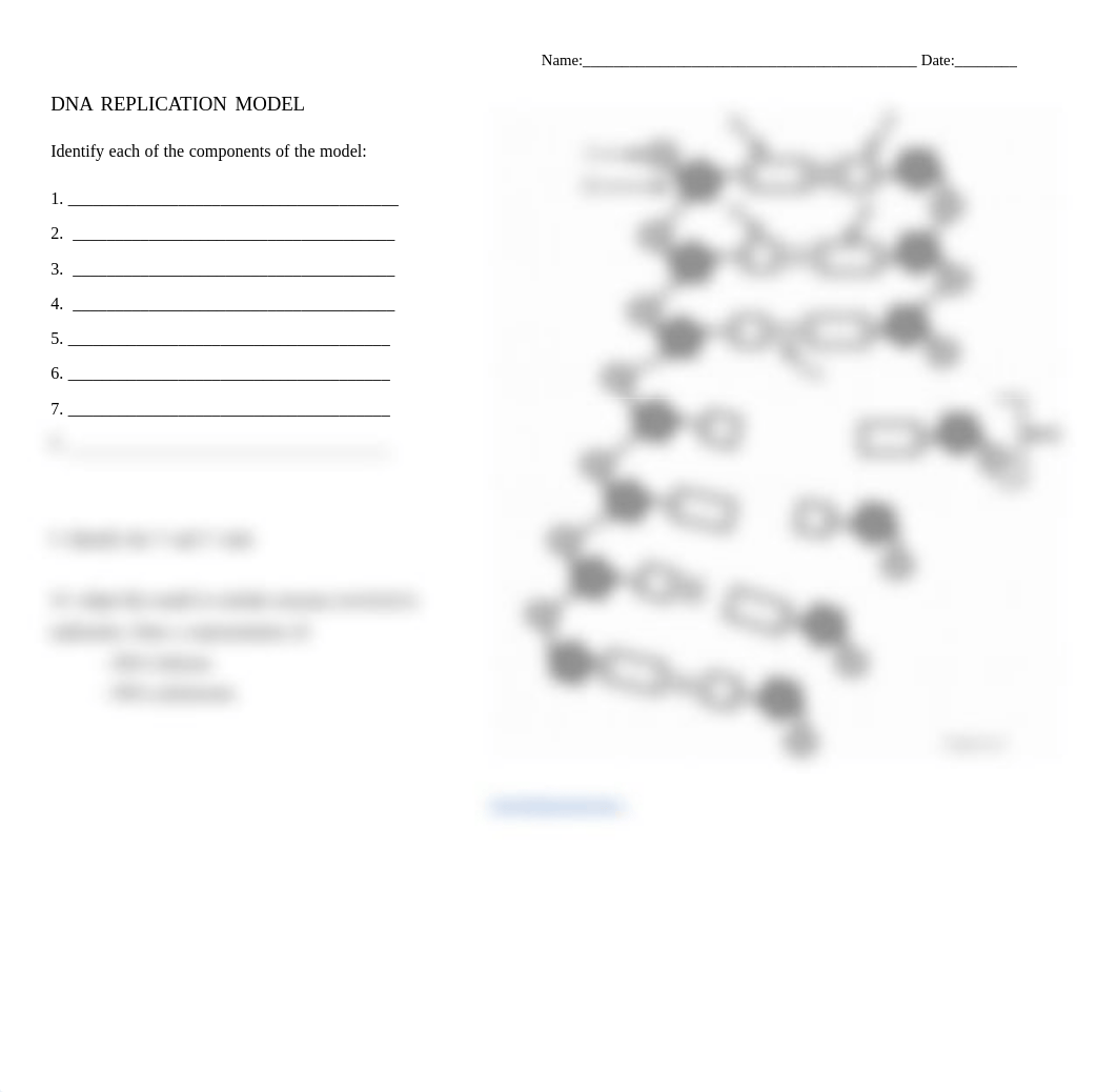 DNA  Replication Model.pdf_dpqpwq74i4d_page1