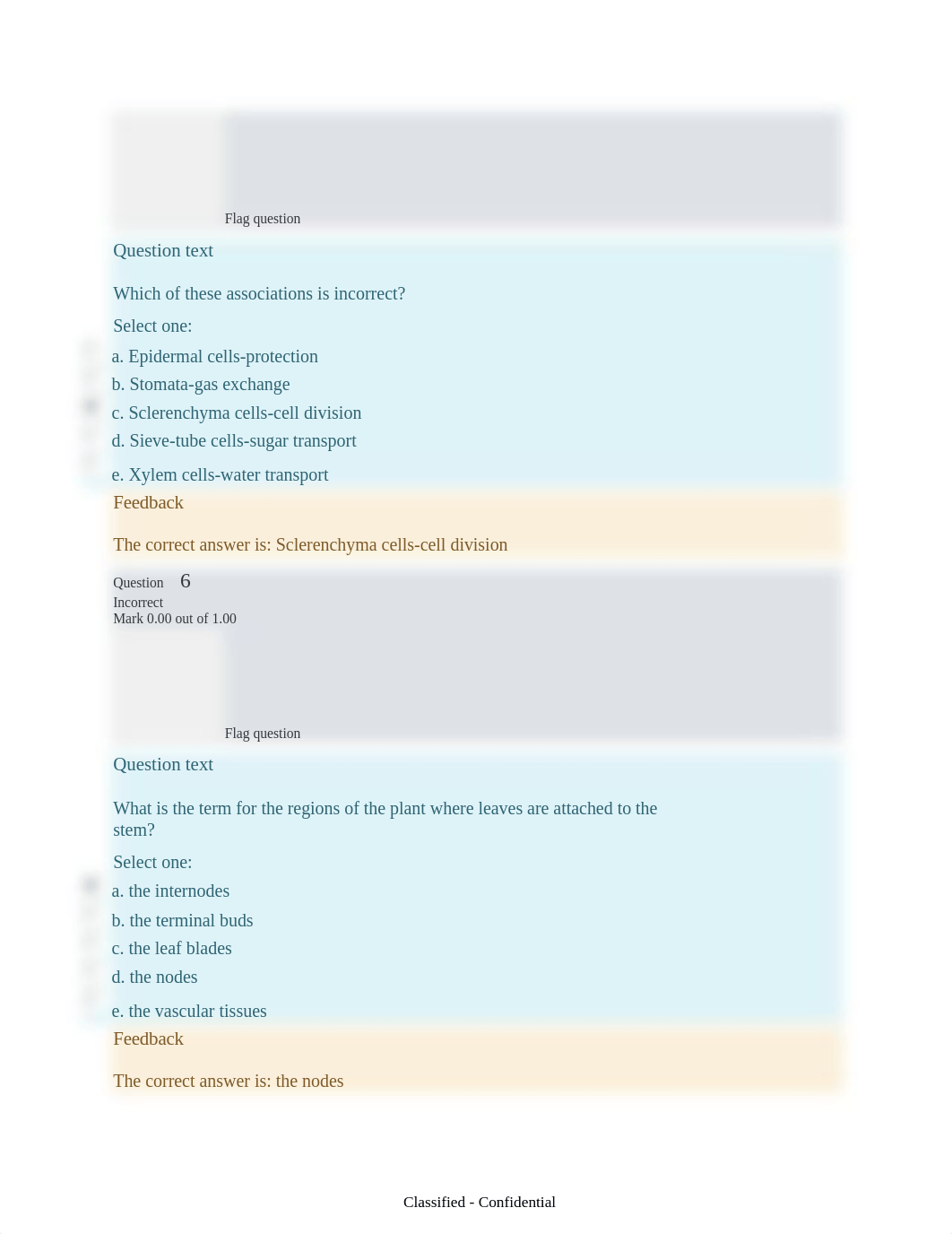 Plant Anatomy and Growth Quiz.docx_dpqs3tolkl4_page4