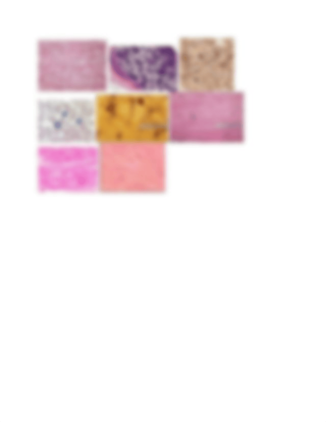 HISTOLOGY.docx_dpqtewjgh27_page2