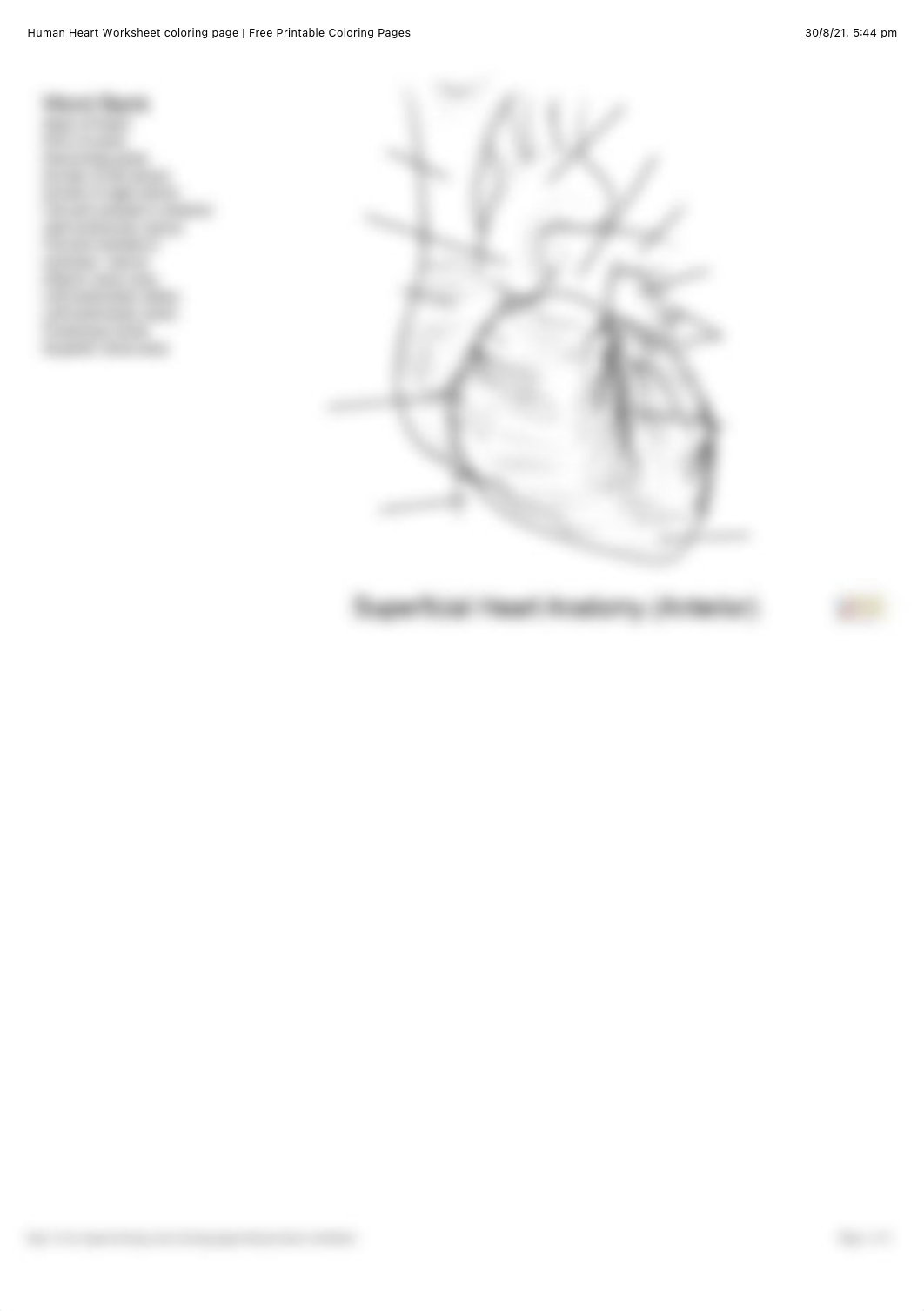 Human Heart Worksheet coloring page | Free Printable Coloring Pages.pdf_dprem2y0p48_page1