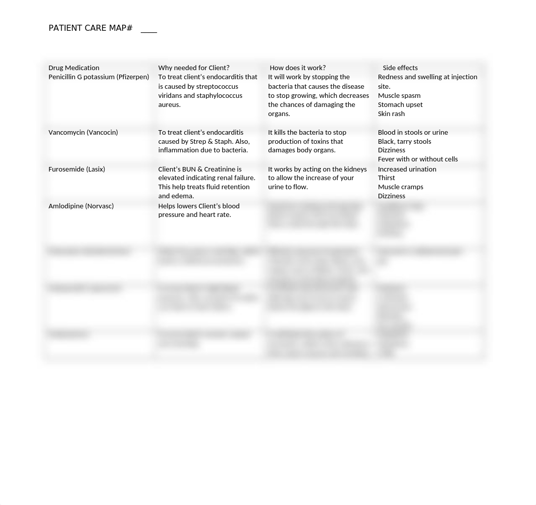 Patient Care Map-2.docx_dpro6fmc6db_page1