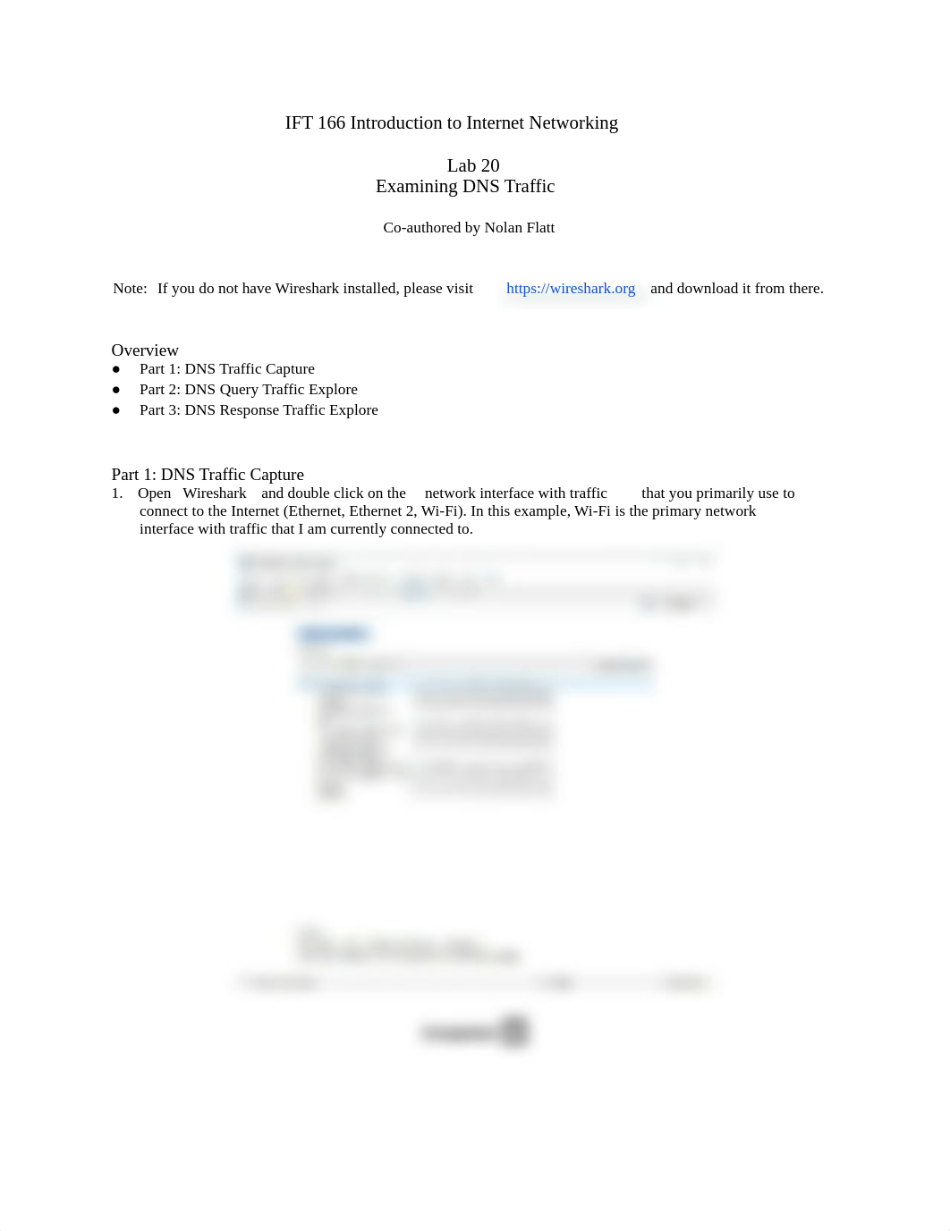 Lab 20 (Examining DNS Traffic).pdf_dprriekx632_page1