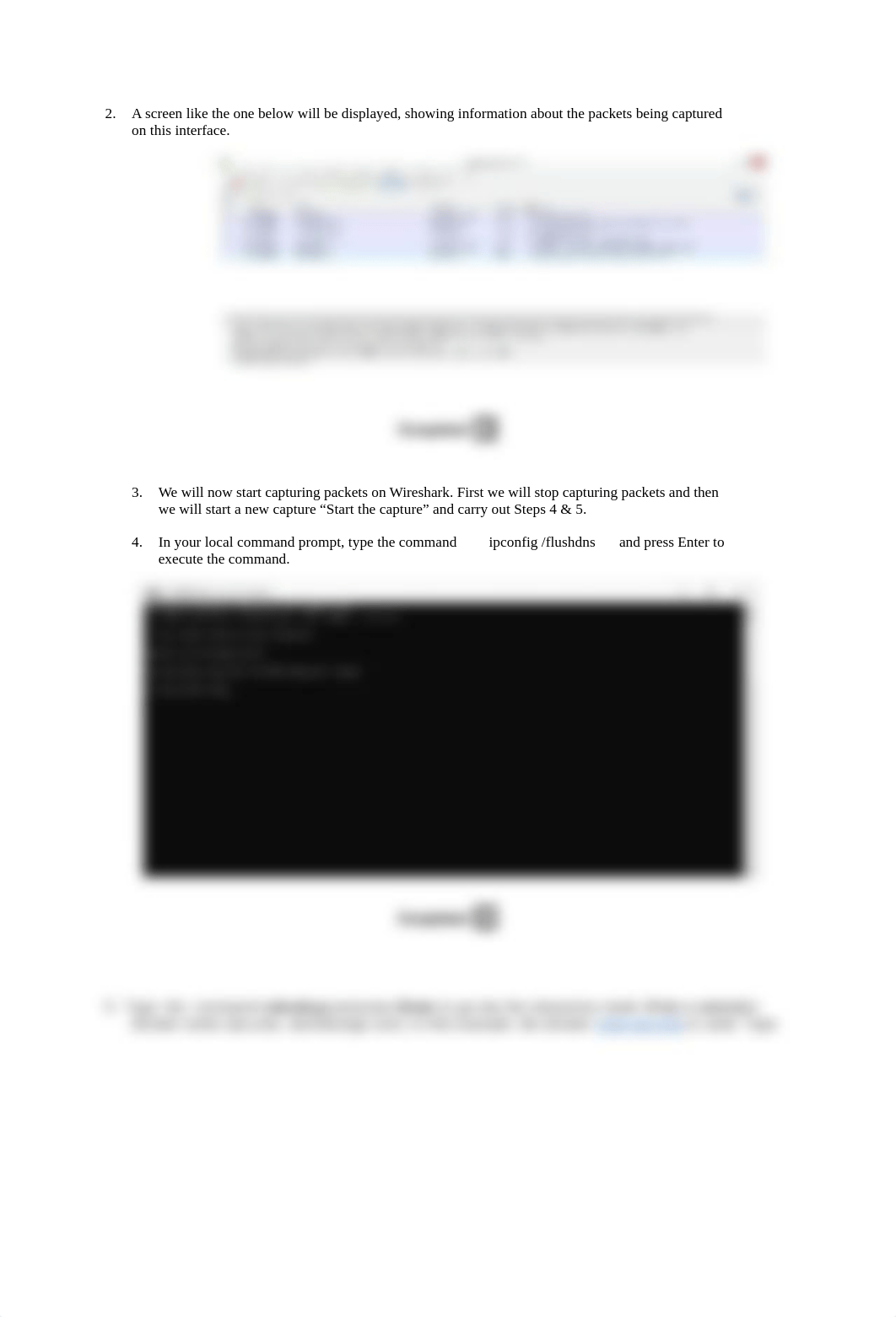 Lab 20 (Examining DNS Traffic).pdf_dprriekx632_page2