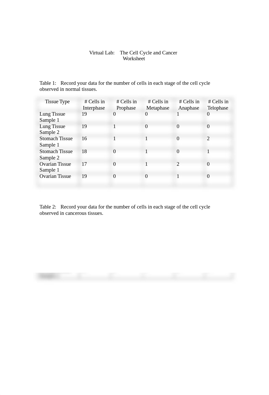 The Cell Cycle and Cancer Worksheet.doc_dprvc7b1816_page1