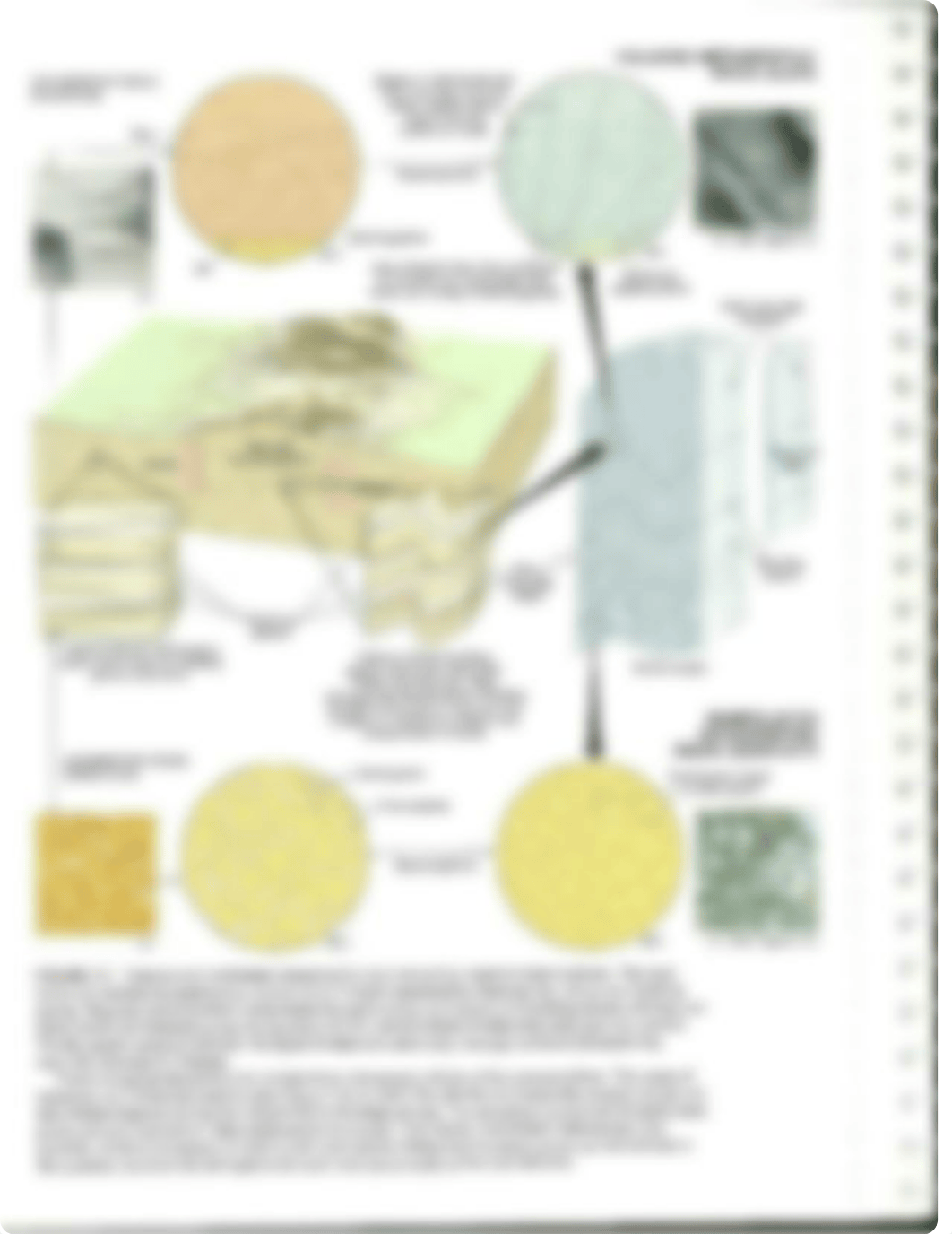 Metamorphic rock.pdf_dprybvwd4zl_page4