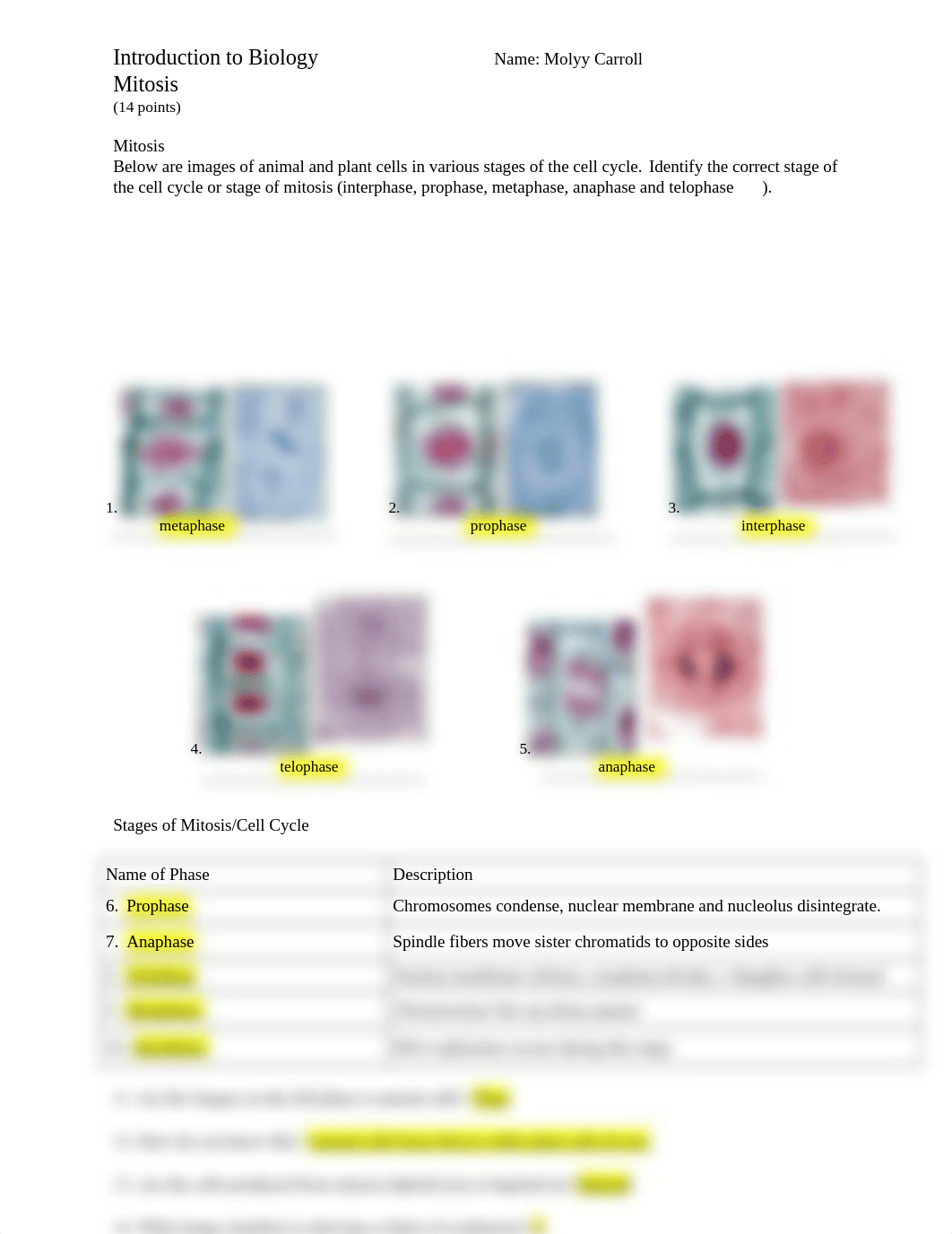 Mitosis_Review_Worksheet_Carroll.docx..docx_dpryzz8f12n_page1