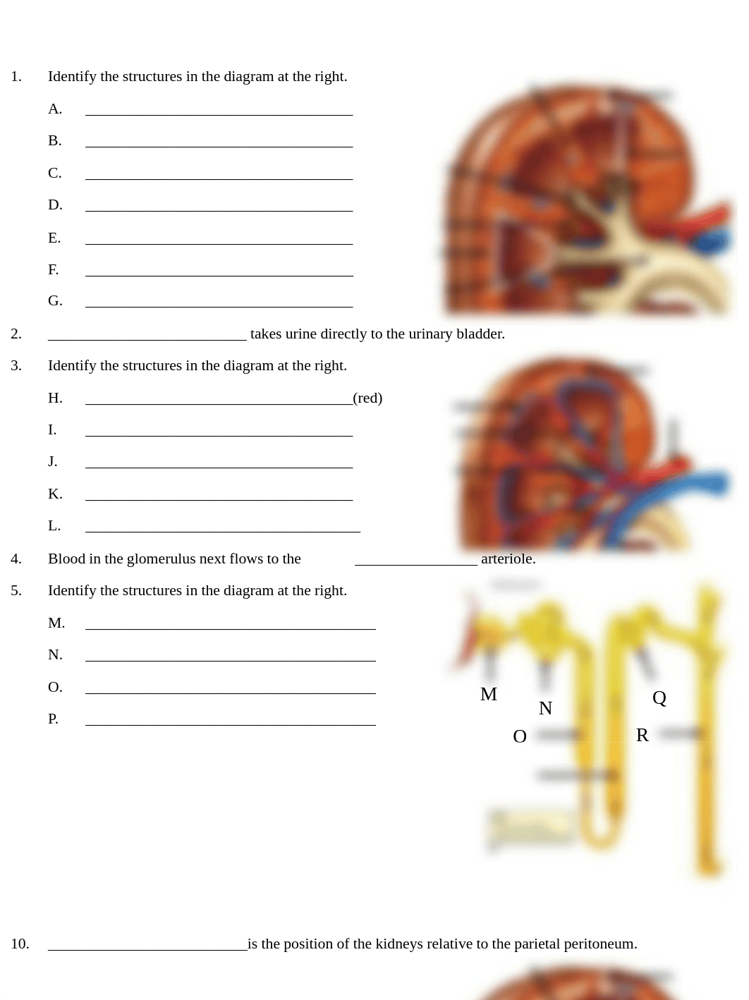 2112 Urinary System Review.pdf_dps9r2r4v9n_page1