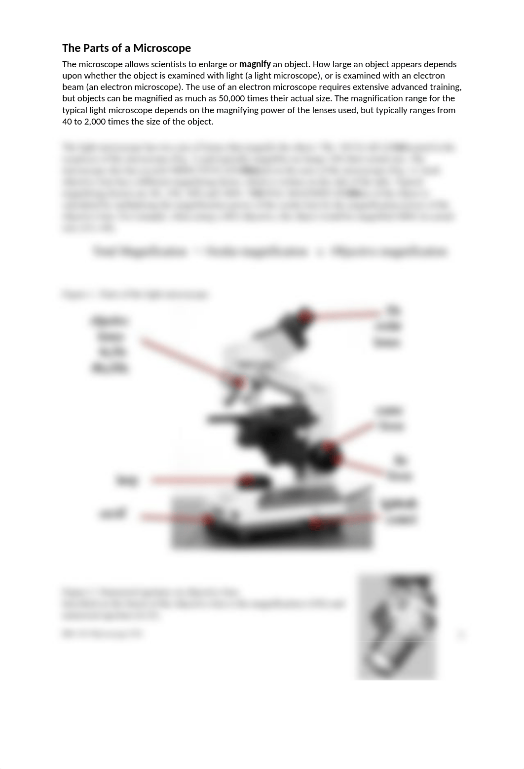 Lab 05 Microscopy HANDOUT F20.docx_dpsdu4a6n1e_page2