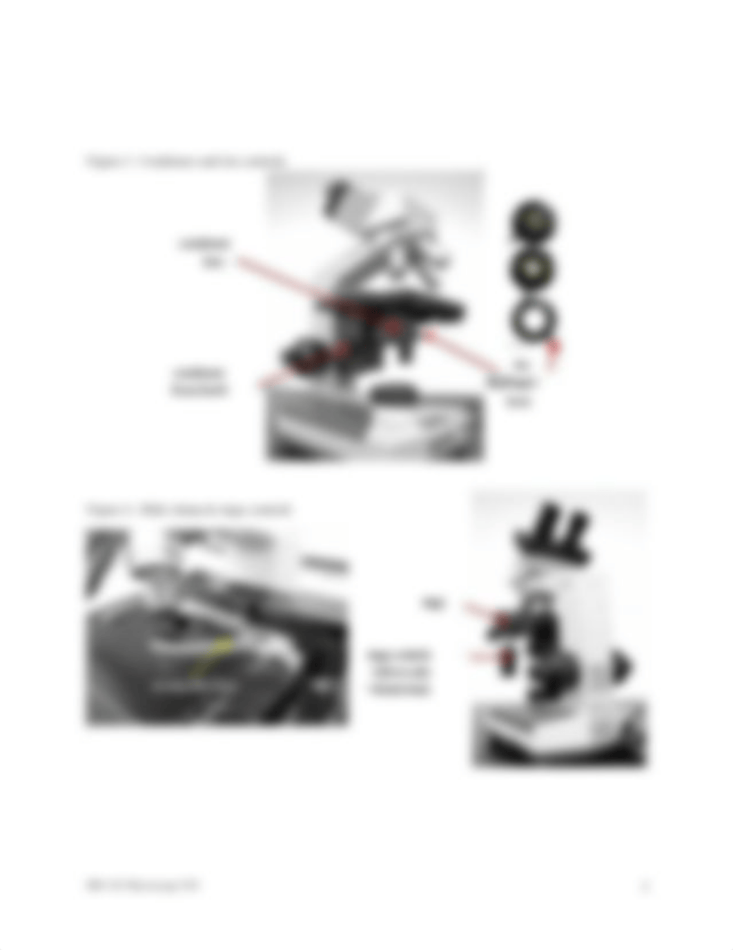 Lab 05 Microscopy HANDOUT F20.docx_dpsdu4a6n1e_page3