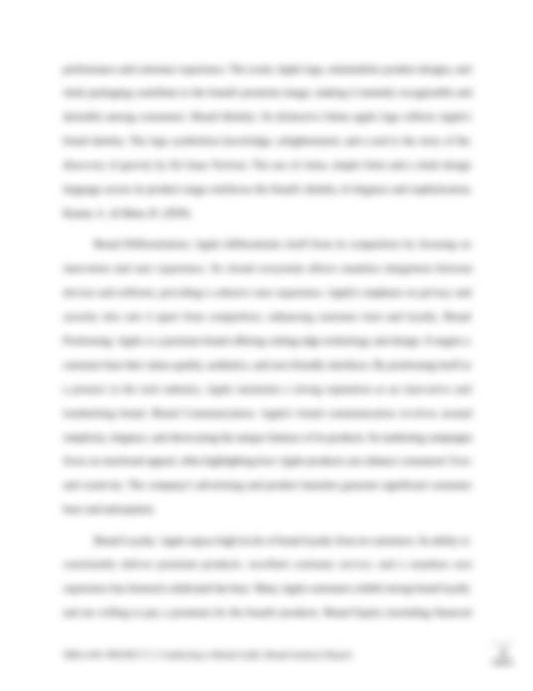 Agyiri_Brand_Analysis_08062023.docx_dpsrv2sog9n_page4