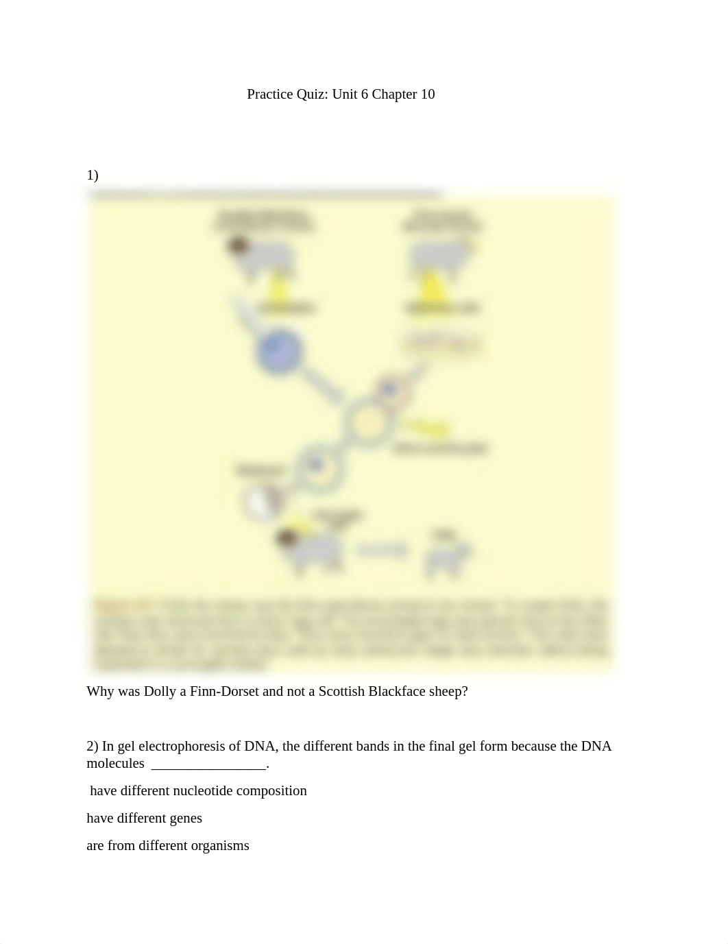 Practice Quiz Unit 6 Chapter 10.docx_dpsryhe2401_page1