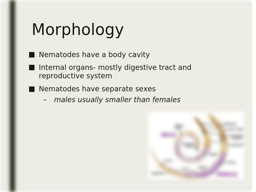 Nematodes - Part 1.ppt_dpsu8bj6wwm_page5