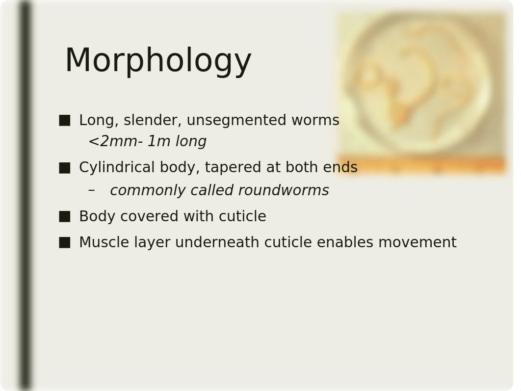 Nematodes - Part 1.ppt_dpsu8bj6wwm_page4