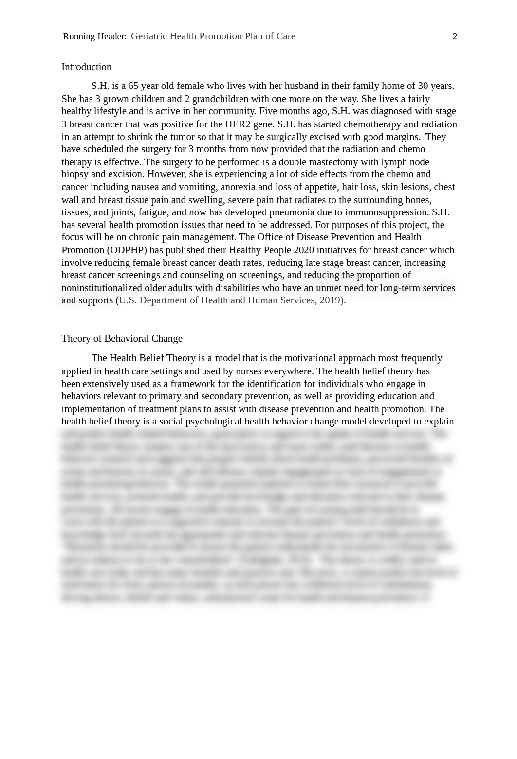 Geriatric Health Care Plan.docx_dpsyvufco7q_page2