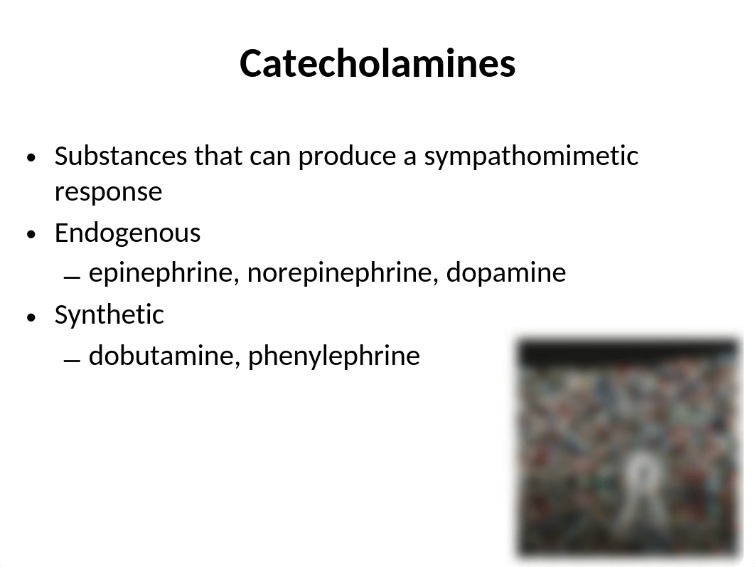 Pharmacology Sympathetic Nervous System PPT.pptx_dptcg88f6av_page5