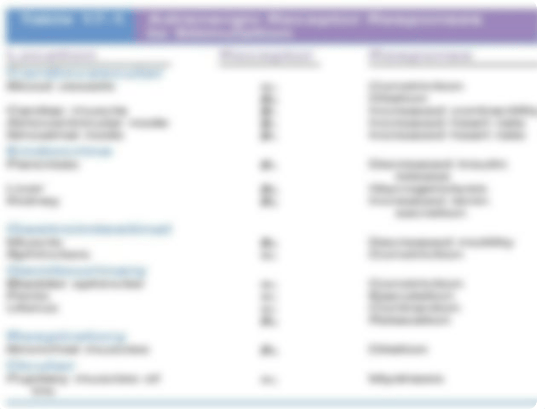 Pharmacology Sympathetic Nervous System PPT.pptx_dptcg88f6av_page4