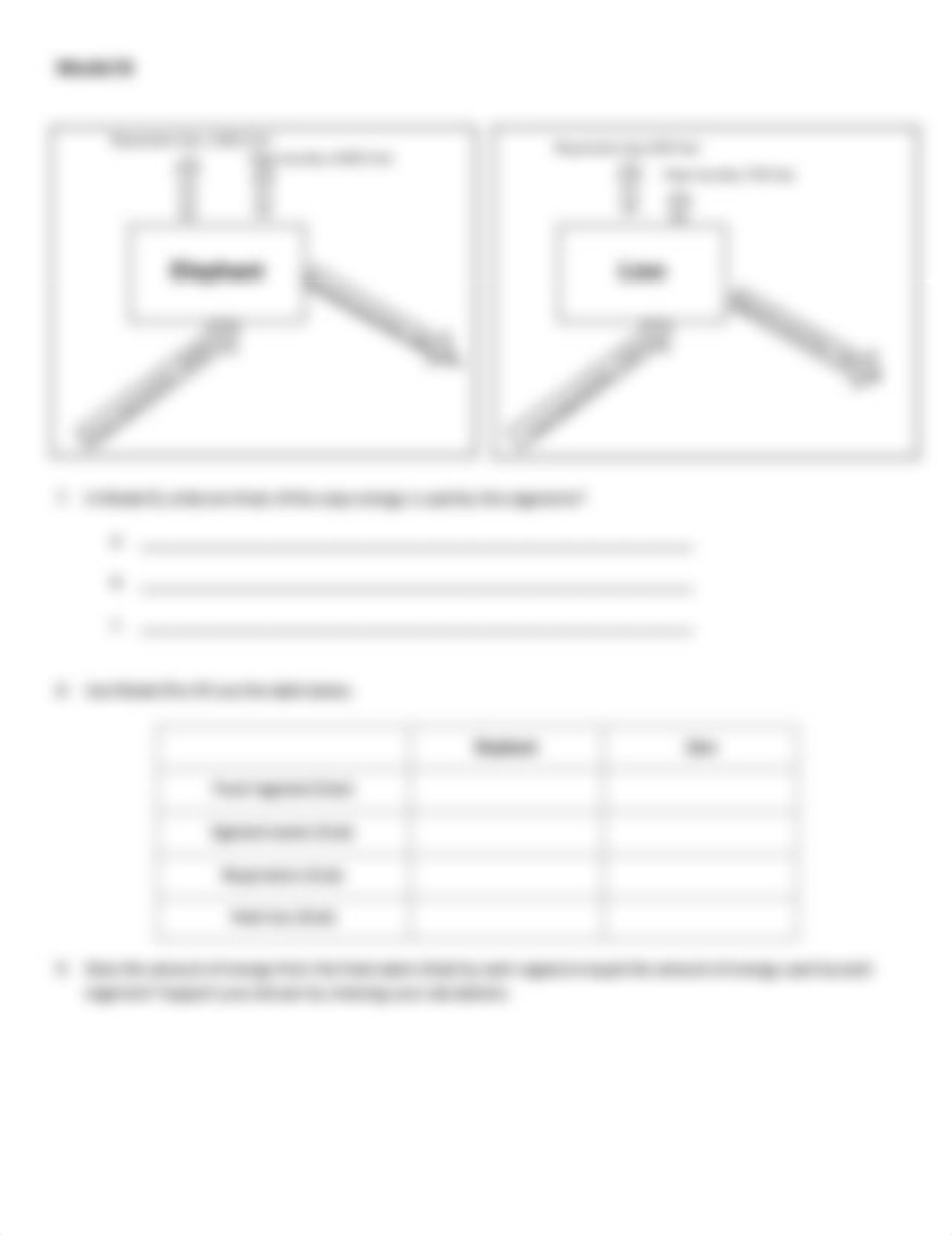 Kami Export - Lion How is Energy Used in Organisms Rev 0618.pdf_dptjkzut6hg_page2