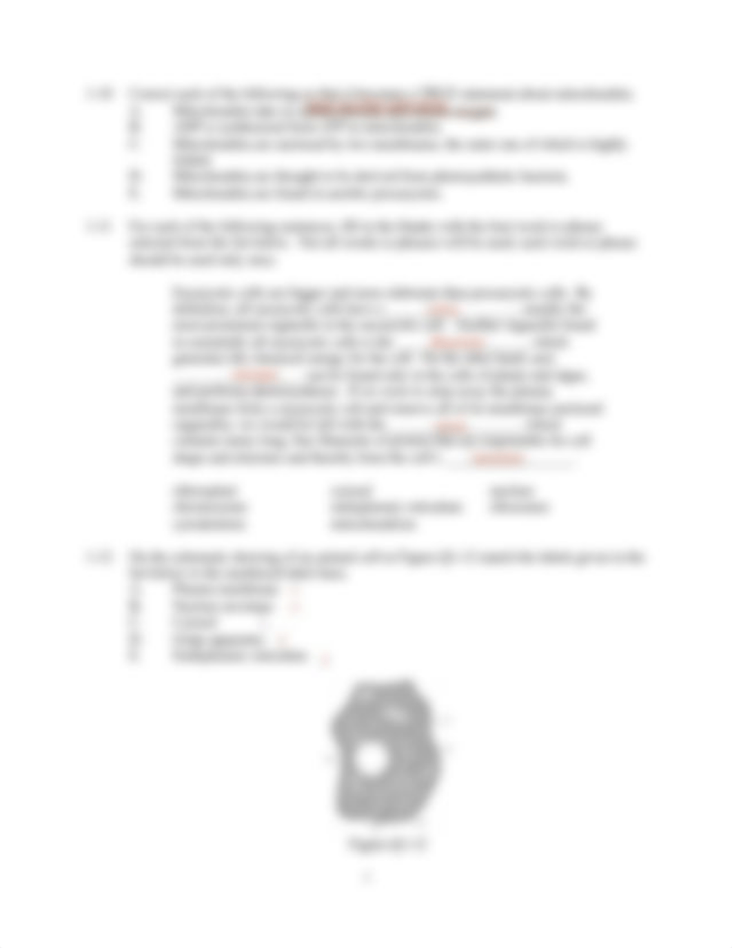 2a. Biology Study Guide.pdf_dptm5u2thez_page3