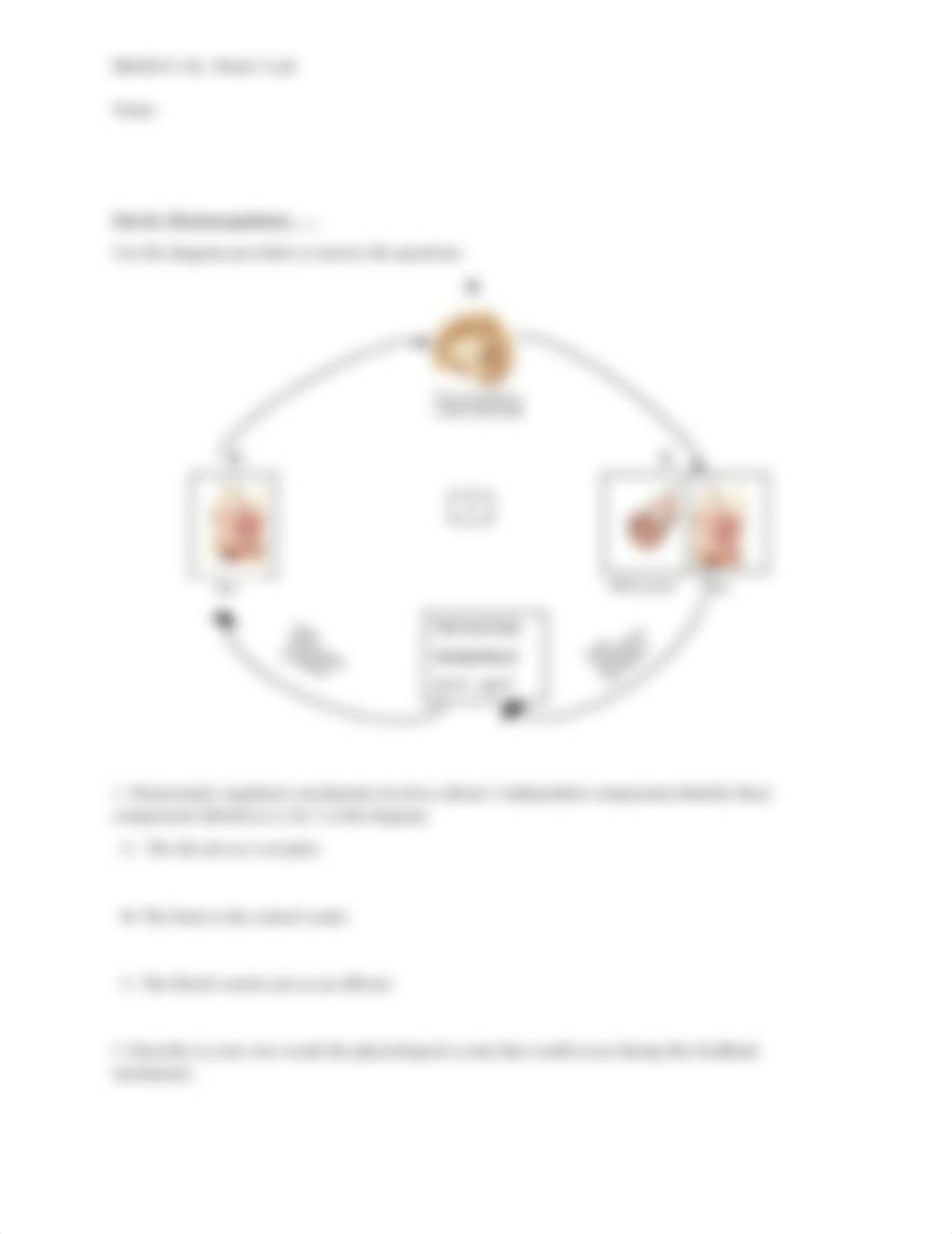 Week 5 Virtual Lab Integumentary System.docx_dptps92n4zc_page3