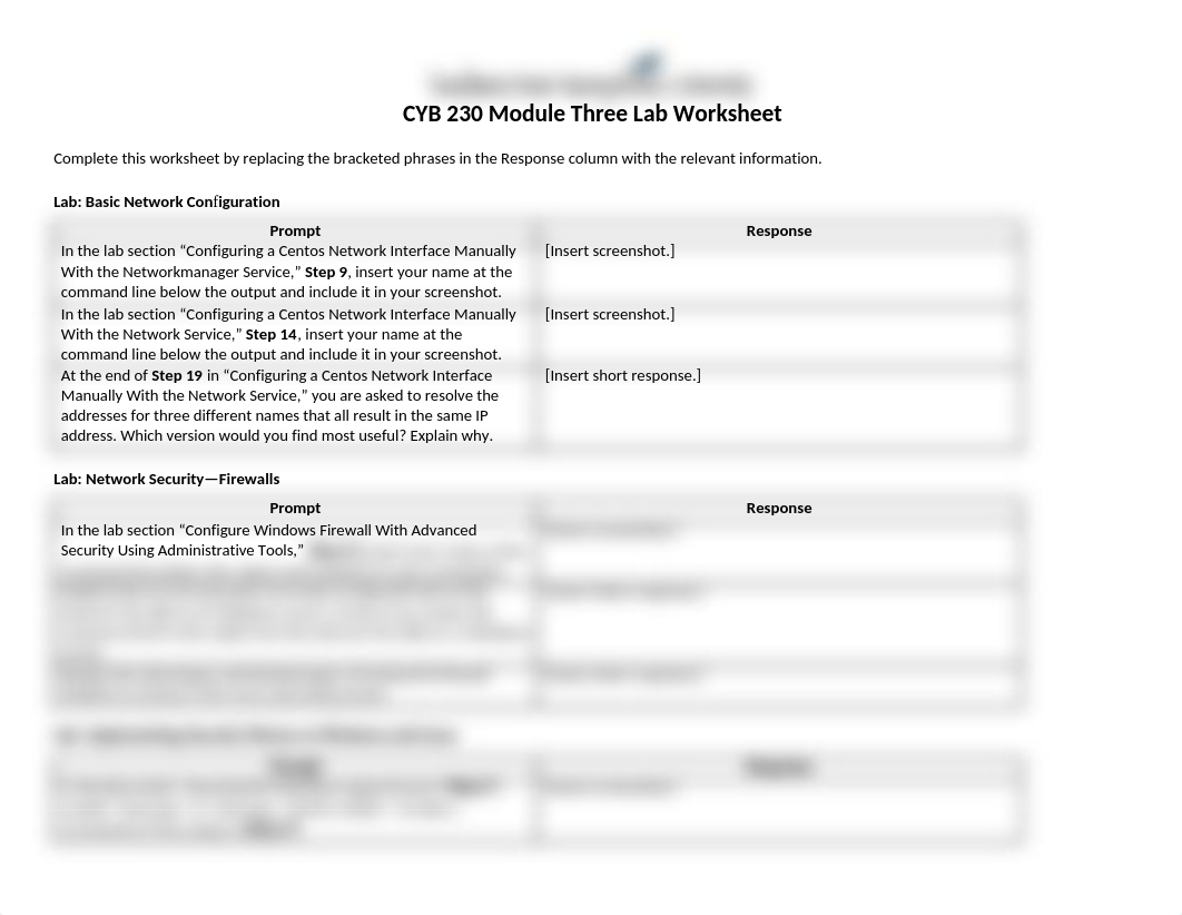 CYB 230 Module Three Lab Worksheet (1).docx_dptvkt6lw89_page1