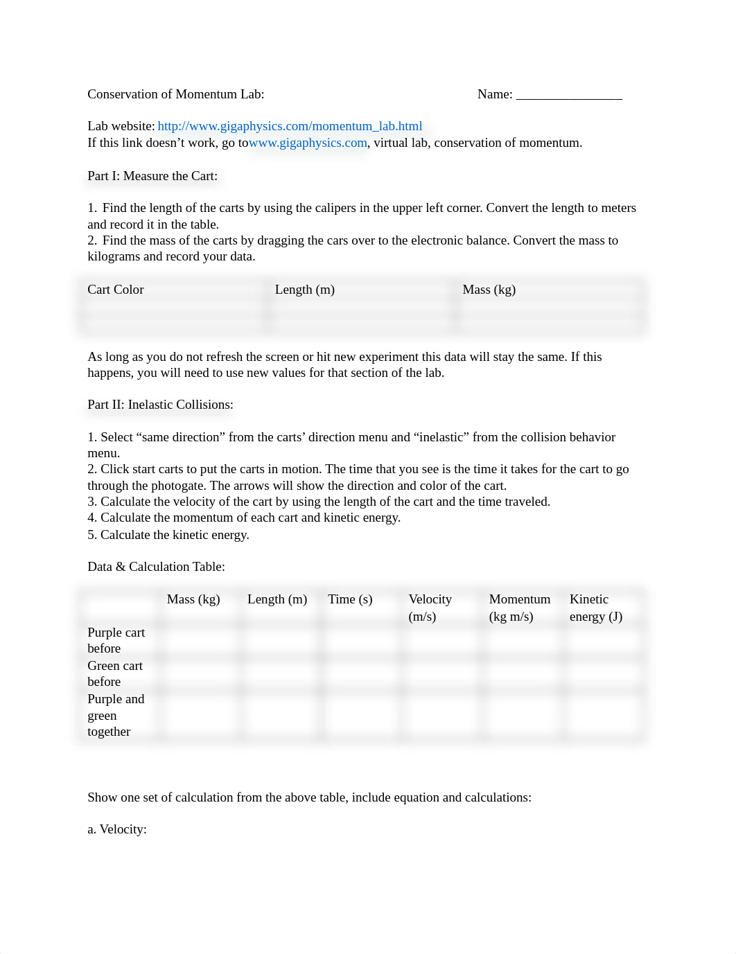 Conservation of Momentum Lab (1).docx_dpu14r01p6k_page1