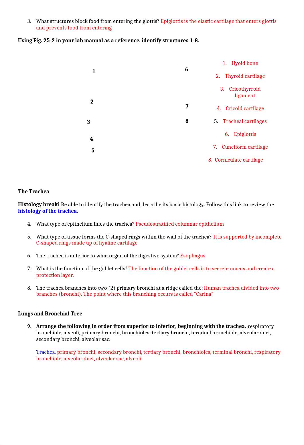 Respirtory System _ Portman.doc_dpu32qcoemv_page2