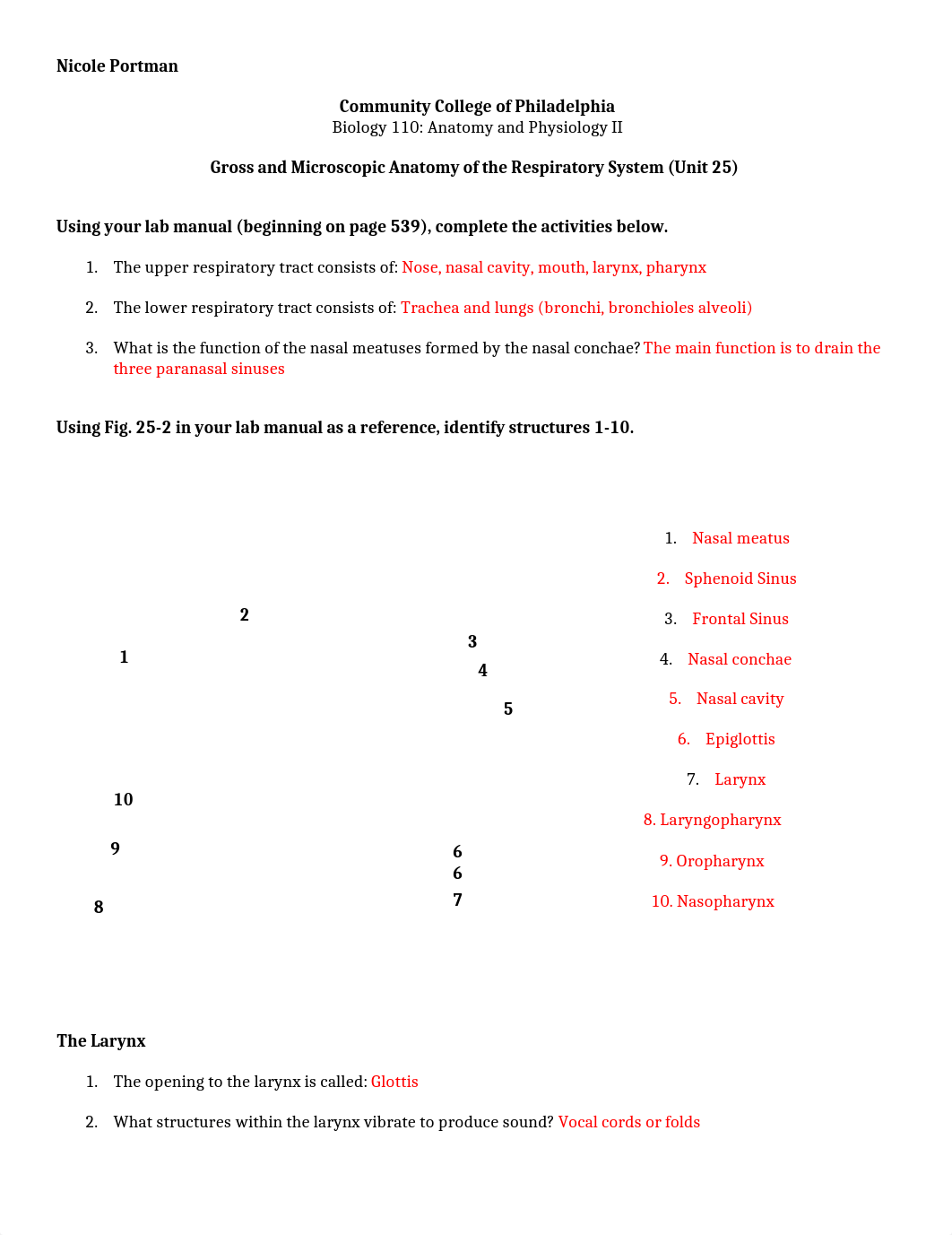 Respirtory System _ Portman.doc_dpu32qcoemv_page1