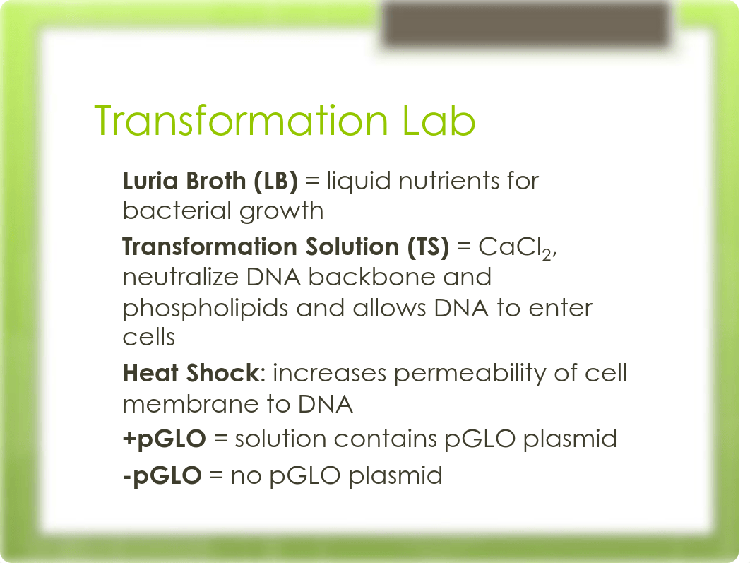 AP Bio Lab 8.pdf_dpudkxnfu37_page4