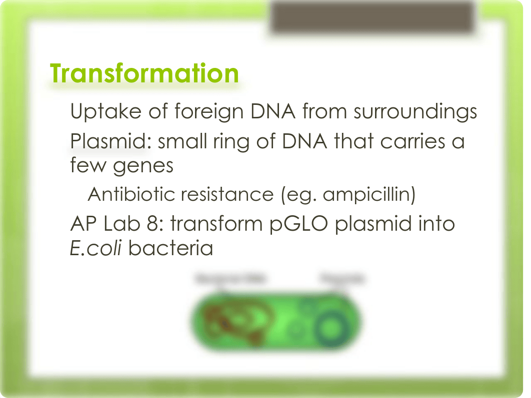 AP Bio Lab 8.pdf_dpudkxnfu37_page2