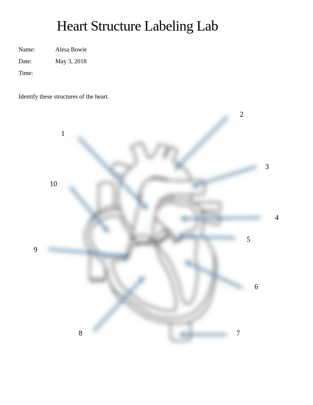 Revised Labeling The Heart-5 A. Bowie.docx_dpum757cp0o_page1