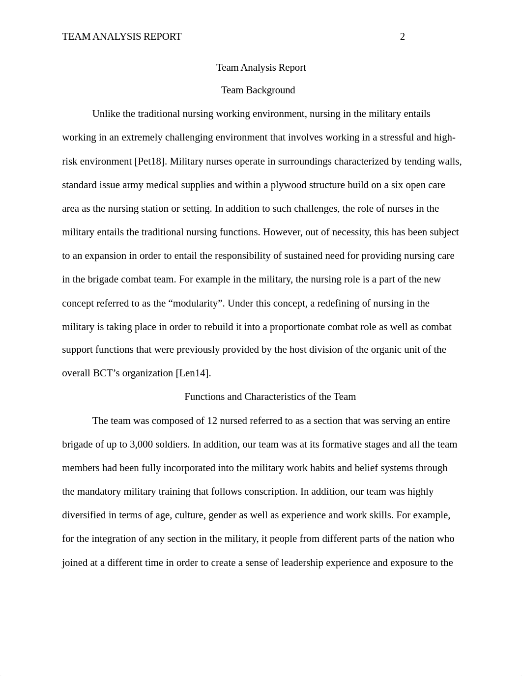 Team Analysis Report.docx_dpuubrmdik1_page2