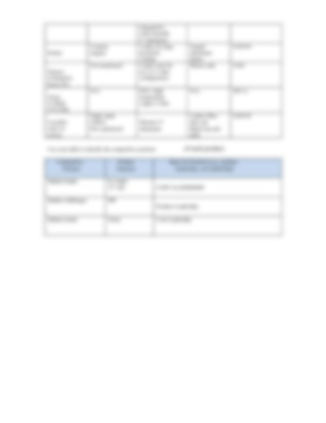 Competitive Analysis Worksheet_Campbell.doc_dpv570wxdt5_page2