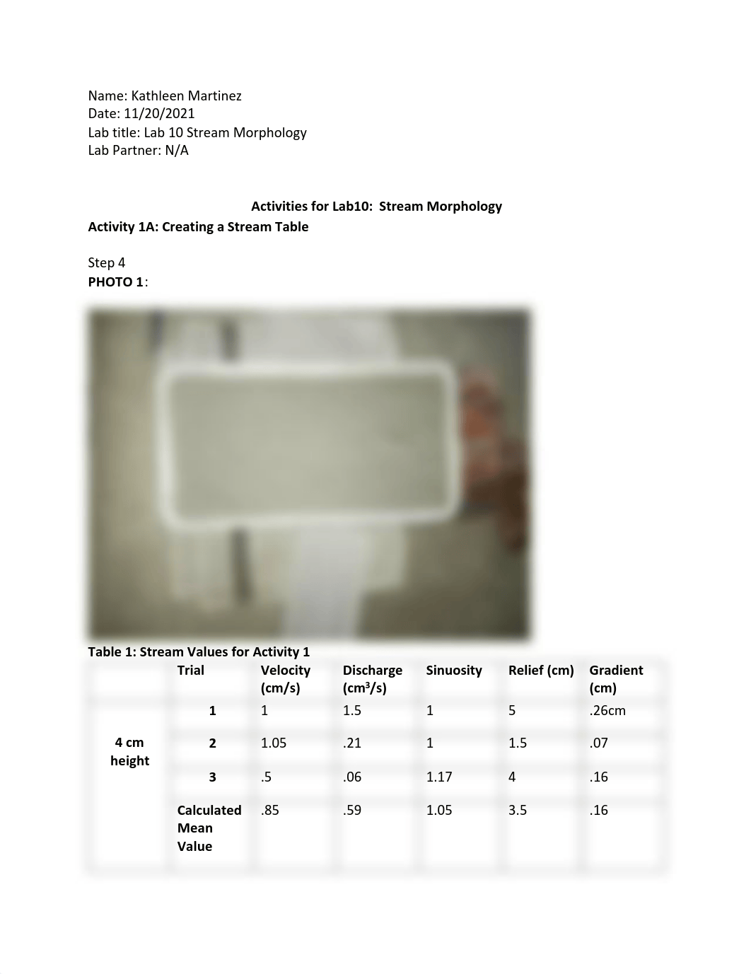 Lab 10 Stream Morphology.pdf_dpvav38x2ea_page1