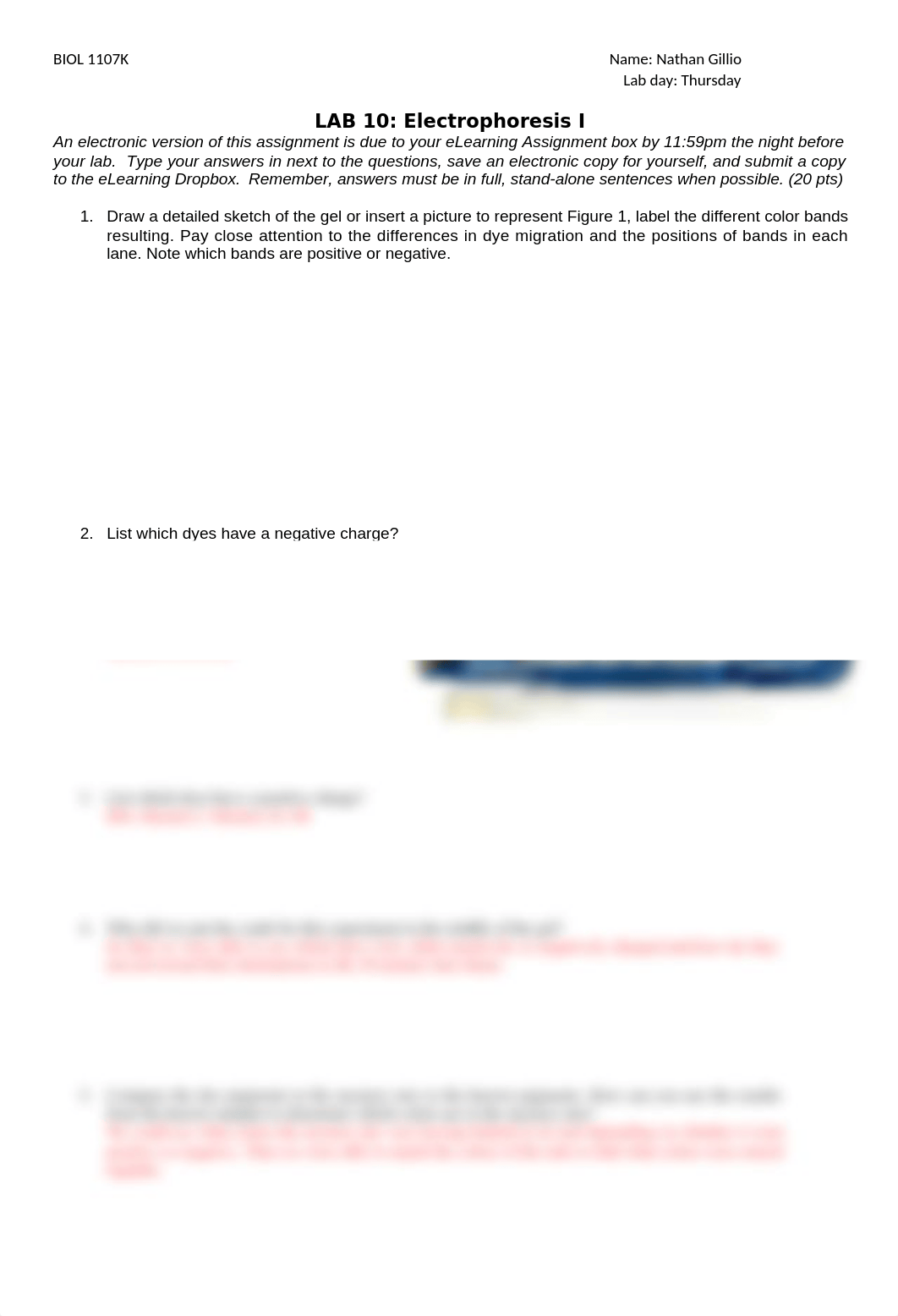 Lab 10 Electrophoresis I.docx_dpvdpyutbpw_page1