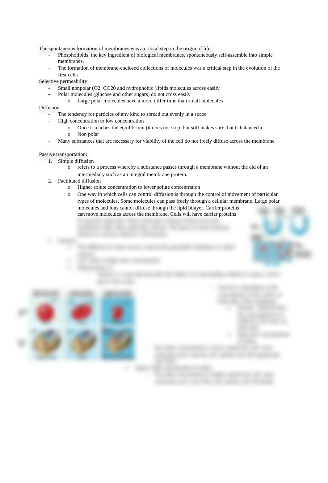 Bio 1 Week 2 lecture notes_dpvedxpp4gp_page2